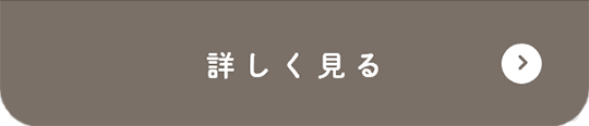 詳しく見る